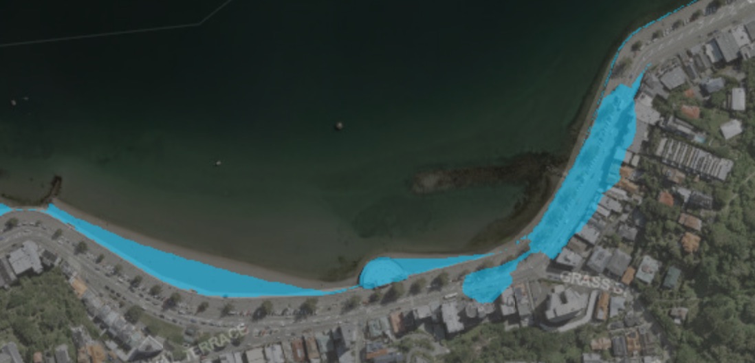 WCC sea level rise oriental bay