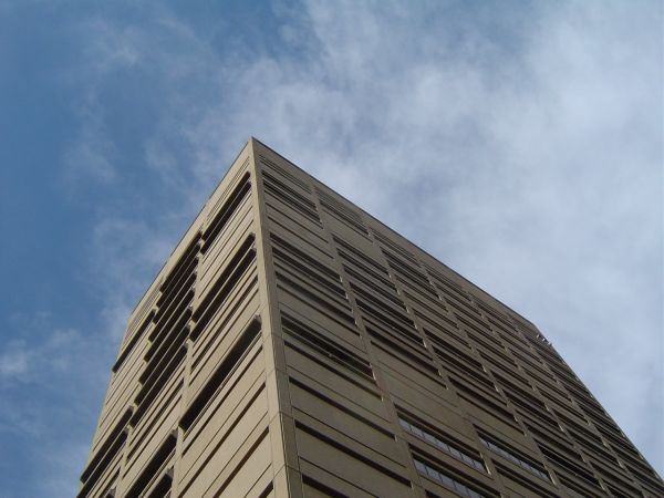 MSJ supreme court