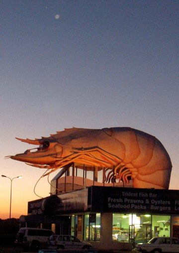 big prawn